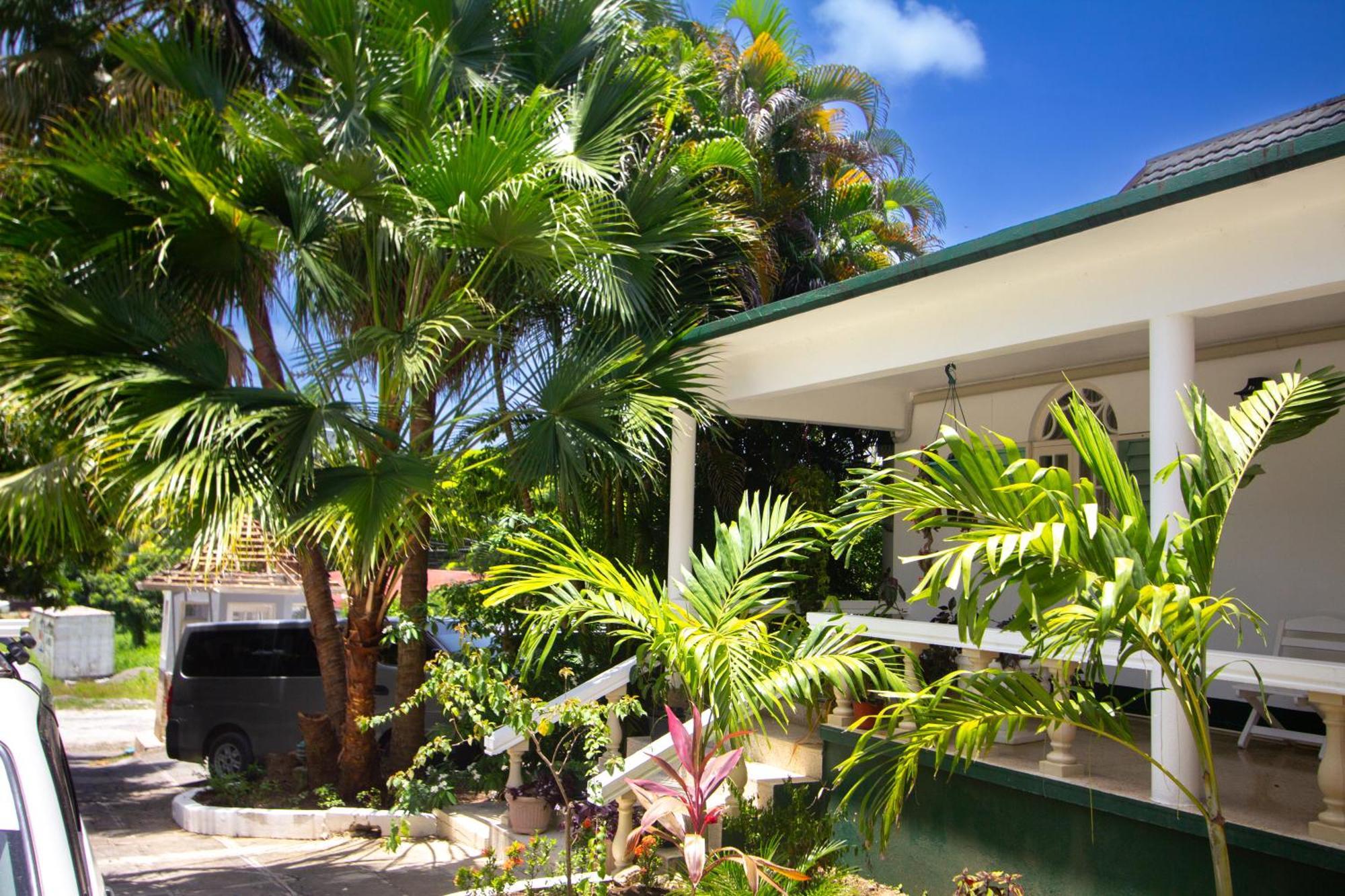 Match Resort Port Antonio Bagian luar foto
