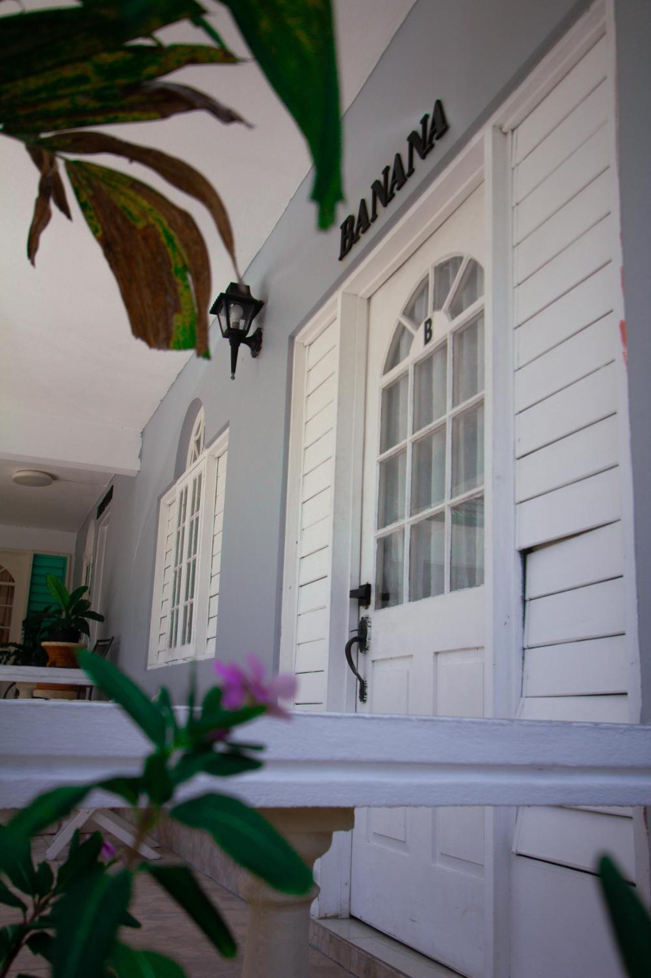 Match Resort Port Antonio Bagian luar foto