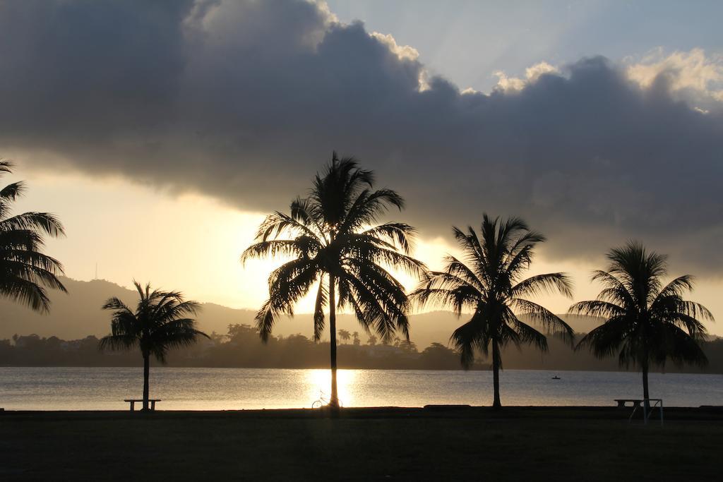 Match Resort Port Antonio Bagian luar foto